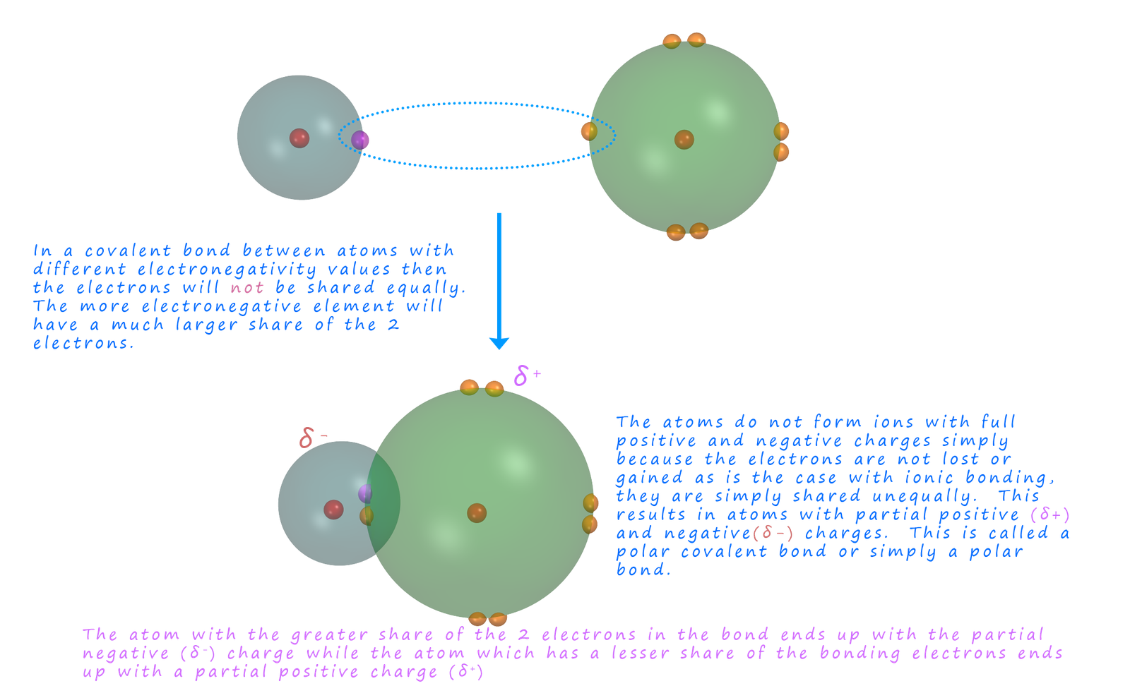 3d model showing how the electrons are shared unequally in a polar covalent bond in a hydrogen chloride molecule.